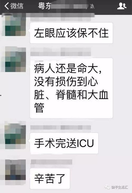 饶平最新爆料事件视频播放,视频揭露惊人真相,事件引发社会关注 第3张 饶平最新爆料事件视频播放,视频揭露惊人真相,事件引发社会关注 第3张